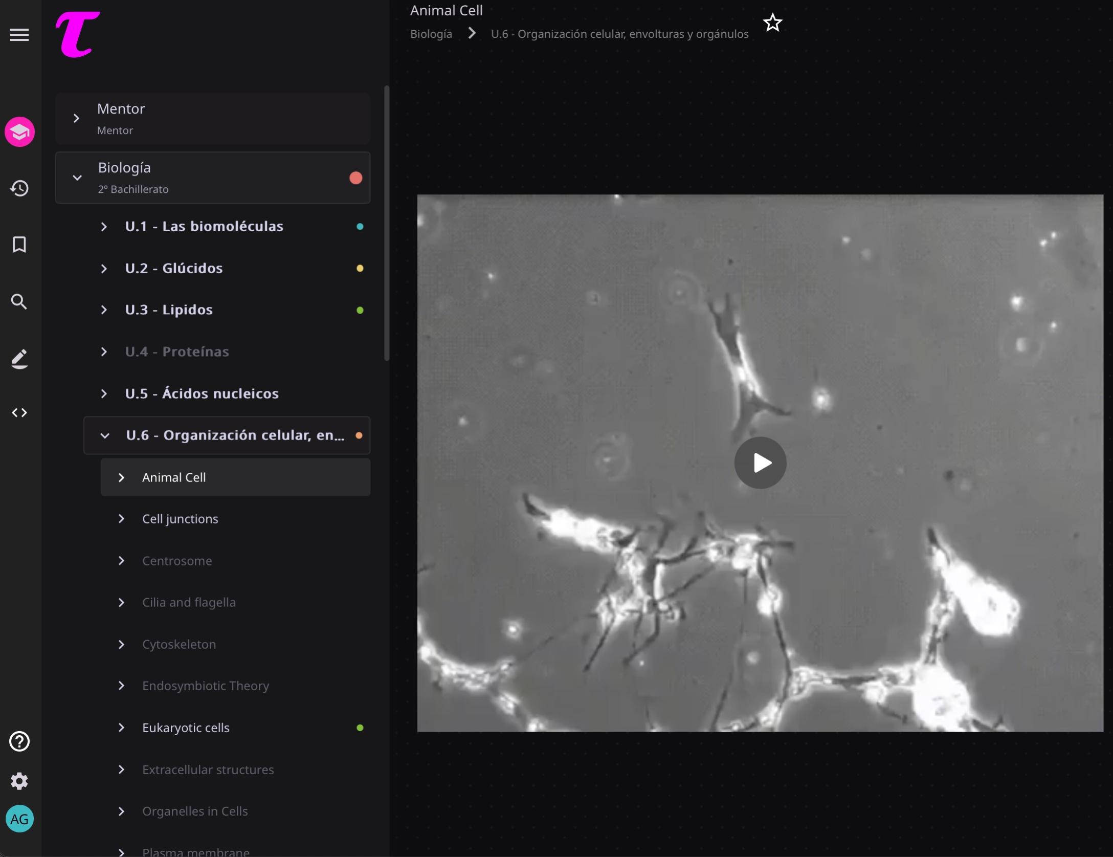 Interactive biology tool on neuron structure: video explaining synapse and neural connections with Q&A guidance.