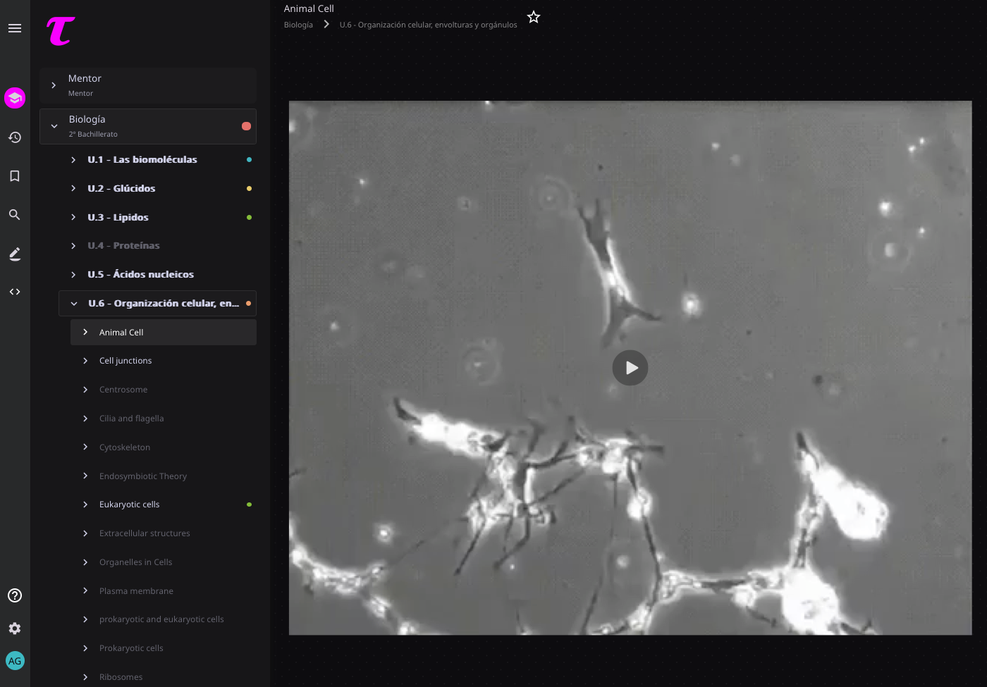 Interactive biology tool on neuron structure: video explaining synapse and neural connections with Q&A guidance.